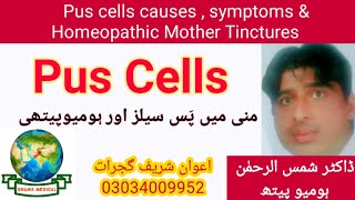 Pus cells  Seminal Tract Infection  treatment by Homeopathic Medicine Mother Tinctures  in Urdu [upl. by Eneleoj]