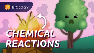 Chemical Reactions in Biology Crash Course Biology 26 [upl. by Kwang]