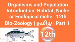 Organisms and Population Intro Niche or Ecological niche  12th BioZoology  தமிழ்  Part 1 [upl. by Shirleen724]