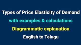 Types of price elasticity of demand  Economics  examples  calculations  by Learn with Ravali [upl. by Nybbor]