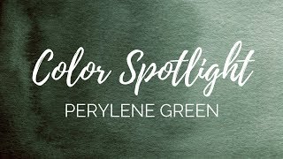 Color Spotlight Returns  Perylene Green PBk31 [upl. by Tibbs]