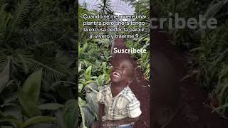 plantas humor viralvideo vivero [upl. by Nannette]