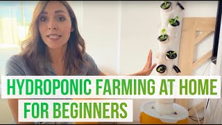 Hydroponics for Beginners Make a Hydroponic Farming System at Home [upl. by Amesari]