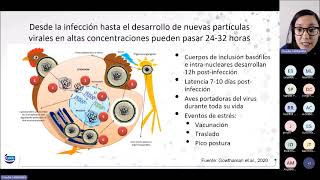 Webinar 69 I Control y monitoreo para Laringotraqueitis experiencia en Perú [upl. by Zalea612]