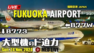 LiVE Fukuoka FUK Airport Plane Spotting✈️福岡空港ライブカメラ Sun 24 Nov 2024 FUKRJFF [upl. by Niwrud]