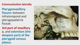 22b Pterygopalatine fossa  MUDr Omid Moztarzadeh PhD [upl. by Schwab]