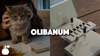 Olibanum fragrance house review • Soft scents and endless layering combinations [upl. by Hereld367]