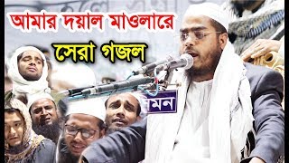 আমার দয়াল মাওলারে হাফিজুর রহমান সিদ্দিকীর সেরা গজল। Hafizur Rahman Siddiki New Gojol 2019 [upl. by Neved295]