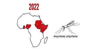 Addressing the threat of Anopheles stephensi [upl. by Yllop]