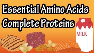 What Are Complete Proteins Incomplete Proteins Essential Amino Acids Non Essential Amino Acids [upl. by Bakerman]