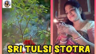 Sri Tulsi Stotra Sanskrit mantras chanting Vedic chants female voice by singingbirdone [upl. by Wiskind]