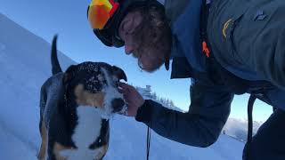 Met Marley en Sam op avontuur in de Oostenrijkse bergen [upl. by Lj]