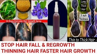 Stop hair fall amp Thick Long hair growth shiny spary powerfull homemade hair growth Toner [upl. by Atinor]