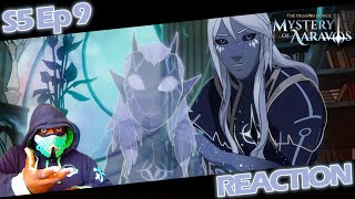 Blood of Child  The Dragon Prince Mystery of Aaravos  S5 Ep 9 quotInfantis Sanguinequot REACTION [upl. by Warfield]