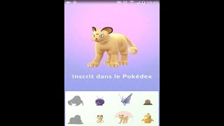 Pokemon go  évolution de miaouss en persian [upl. by Henriha]