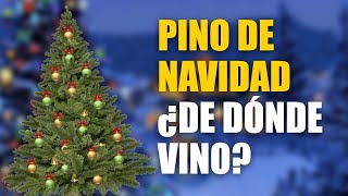 Origen del Pino de Navidad  Historia del Pino de Navidad [upl. by Clarie]