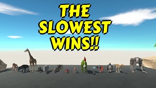 Gotta be SLOW to WIN the RACE in Animal Revolt Battle Simulator [upl. by Belden]