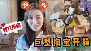 【淘宝开箱】双十一收获满满～除了🈵️减赠品还超多！划算套装  好物推荐  家居摆件  Taobao unboxing [upl. by Bertasi]