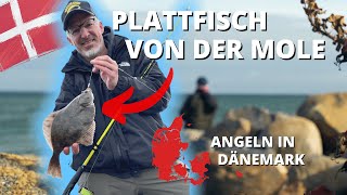 Plattfischangeln an der Ostsee in Dänemark  so fängst du Scholle Kliesche und Flunder von der Mole [upl. by Orapma445]