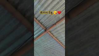 Aetna Me Ketna Debu trending vaira youtubeshorts ranjanrohi vairalvideo shorts ytshortsindia [upl. by Amr93]