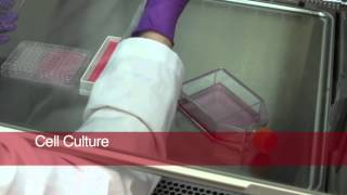 Foodborne Illness Outbreak Investigation Behind the Scences [upl. by Adnaw933]