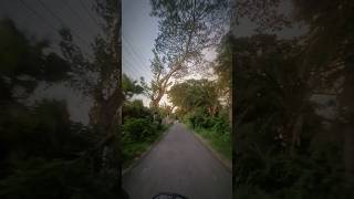 প্রকৃতির সৌন্দর্য love nature viralvideo shorts short [upl. by Canning]