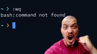 Command Not Found I Refuse To Accept That [upl. by Pliner]