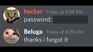 When a Hacker Finds Your Password [upl. by Laehplar540]