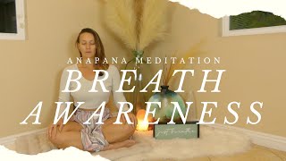 Master Your Mind in 10 Minutes Discover Anapana Breath Awareness Meditation [upl. by Honeywell247]