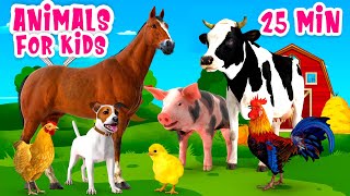 Animals for Kids 25 min Farm animal sound [upl. by Godber]