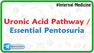 Uronic Acid Pathway  Essential Pentosuria  Medical Biochemistry by Dr G Bhanu Prakash [upl. by Bronder]