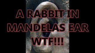 Mandela Effect WHY IS THERE A RABBIT IN NELSON MANDELAS EAR WTF HA [upl. by Aimik]