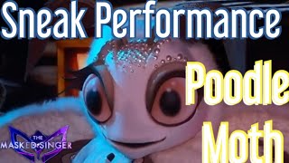 Sneak Performance of the Poodle Moth  The Masked Singer Season 11 Ep 5 [upl. by Ardnauq155]