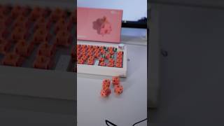 Akko Rosewood Switches w Sound Test akko [upl. by Gent]