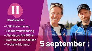 Härnösandtv  5 september 2024 [upl. by Fine]