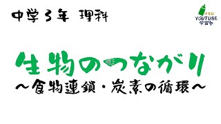 中学理科「生物のつながり」生産者・消費者・分解者と炭素の循環 [upl. by Inness747]