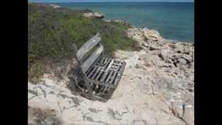 Rats  Welcome to Rat Island Houtman Abrolhos Islands [upl. by Ennahs540]