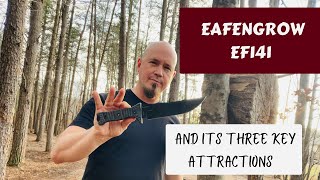 The Eafengrow EF141  Three Key Attractions [upl. by Ellenyl]