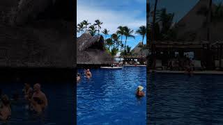 🇩🇴 Barcelo Bavaro Palace Punta Cana Dominican Rep 🌴shorts short shortvideo shortsvideo [upl. by Ahmar]