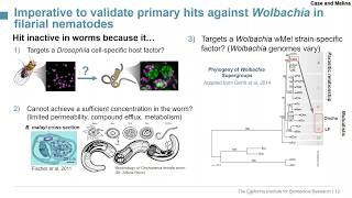 Hit triaging and advancement to AntiWolbachial lead compounds [upl. by Nevyar]