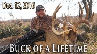 186quot Buck at 7 Yards  Rut Action  Midwest Whitetail [upl. by Rossuck]