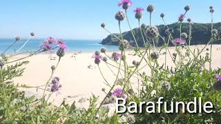 Five wonderful beaches in Pembrokeshire south west Wales [upl. by Ocirema]