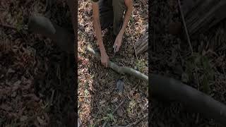 bushcraft camping survival bushcrafting skills lifehacks [upl. by Quintina]