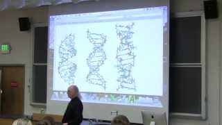 15 Biochemistry Lecture DNA Structure and Replication from Kevin Aherns BB 350 [upl. by Nioe]