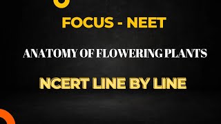 NEETNCERT LINE BY LINE ANATOMY OF FLOWERING PLANTS01 [upl. by Alliehs]