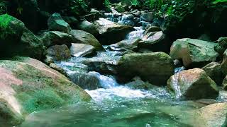 Serenity Sound beautiful calming river sound harmonious water flow sound lovely forest sounds [upl. by Einittirb]