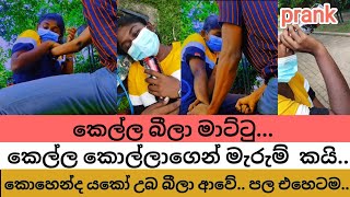 prank in sri lanka  කෙල්ල බීලා මාට්ටු  drunk prank on boyfriend  prank couples in sri lanka [upl. by Auhs]