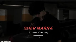 Supne slowed  reverb Ranjit Bawa  new punjabi song 2024  KL Lofi [upl. by Nekciv241]