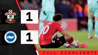 HIGHLIGHTS Southampton 11 Brighton  Premier League [upl. by Shields]