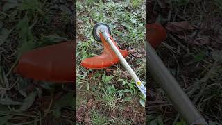 STIHL FS 55 [upl. by Hinson925]